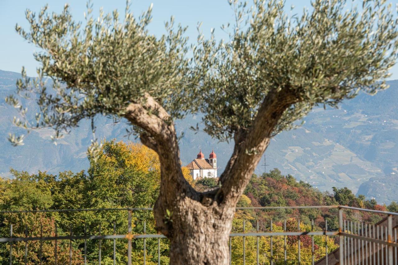 Nofnerhof Διαμέρισμα Appiano Sulla Strada Del Vino Εξωτερικό φωτογραφία