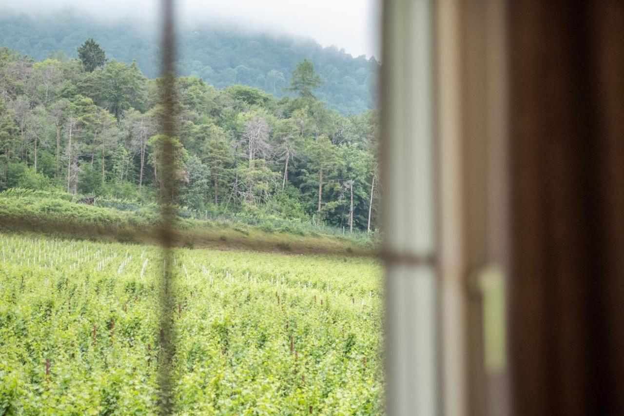 Nofnerhof Διαμέρισμα Appiano Sulla Strada Del Vino Εξωτερικό φωτογραφία
