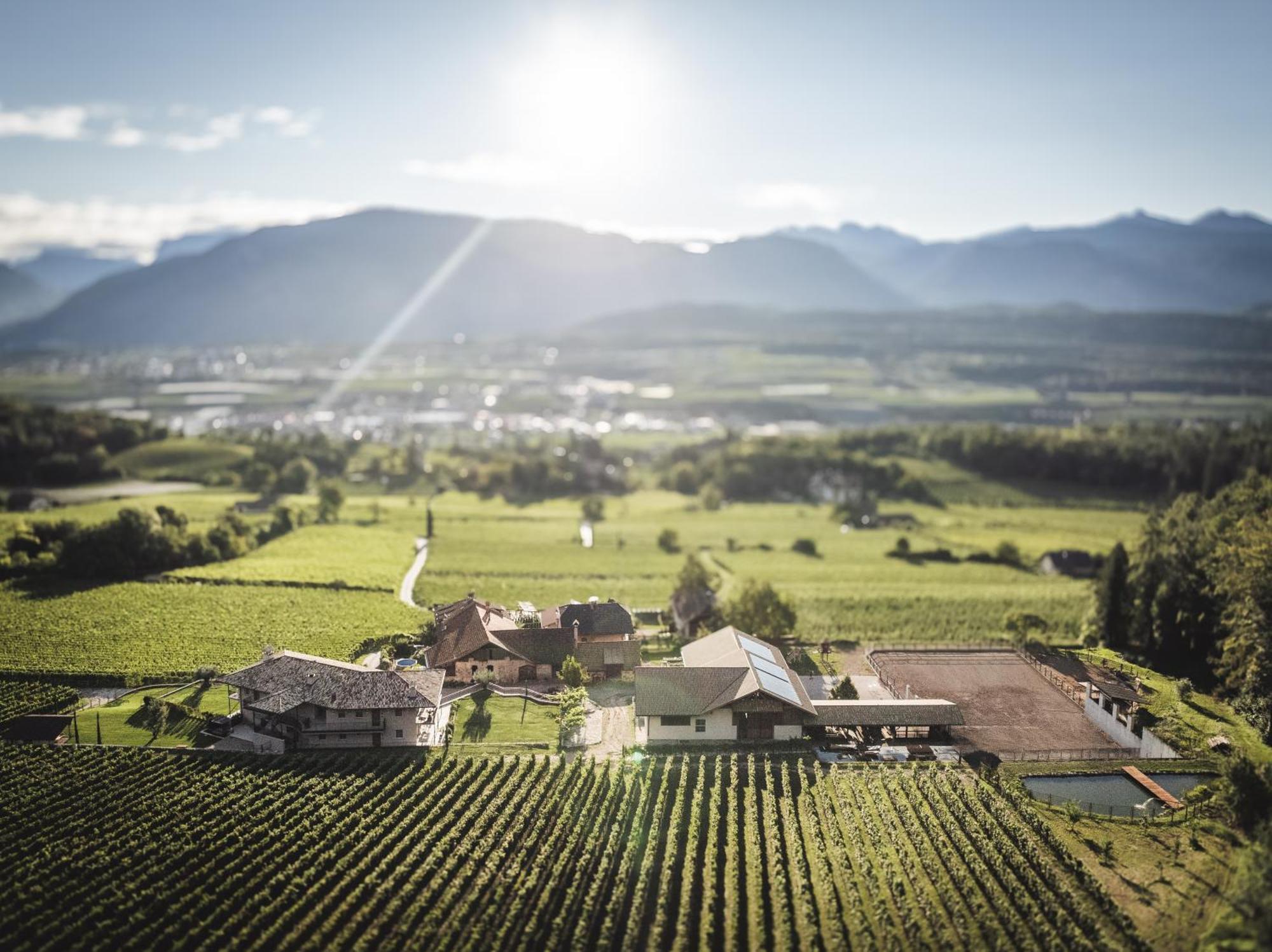 Nofnerhof Διαμέρισμα Appiano Sulla Strada Del Vino Εξωτερικό φωτογραφία